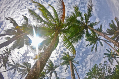 DCIM100GOPROGOPR0134.JPG