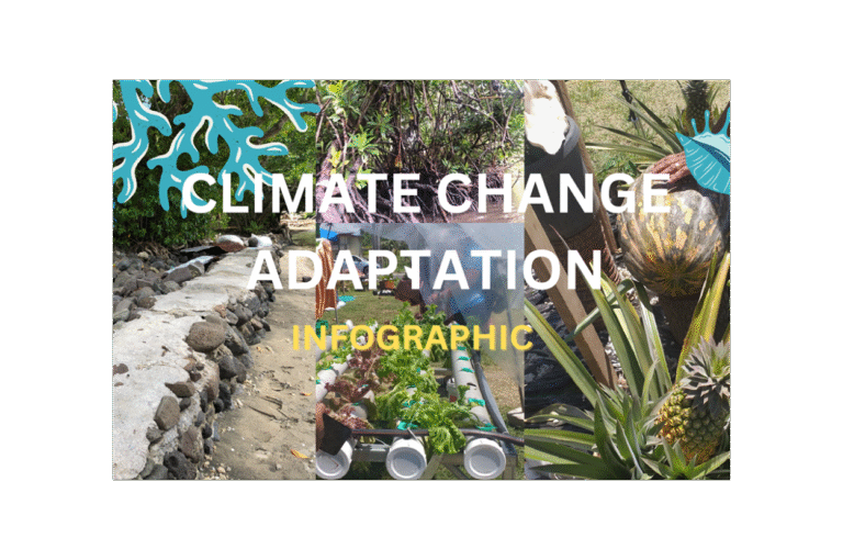 Climate Change Adaptation Infographic