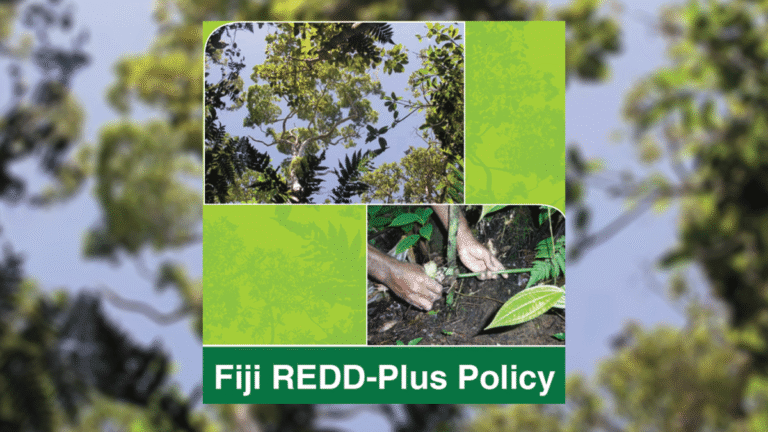 Fiji REDD-Plus Policy: Reducing emissions from deforestation and forest degradation in Fiji [Reducing Emissions from Deforestation and Forest Degradation]