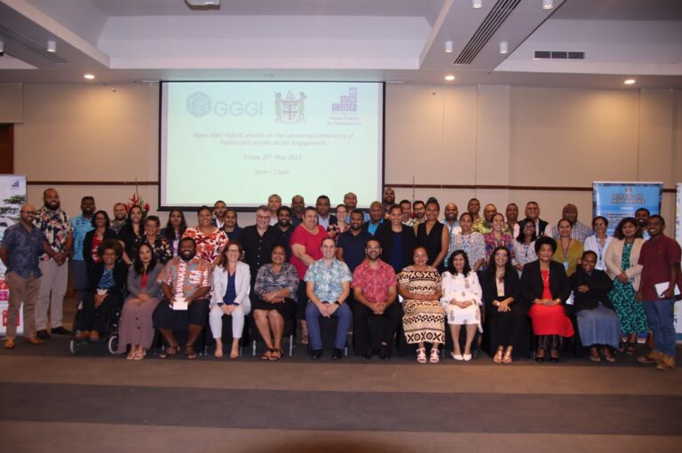 Open SWG Information session on the Upcoming Conference of Parties and Private Sector Engagement