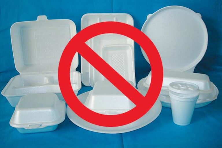 Save Our Oceans &ndash; Single-Use Plastic (Polystyrene) Ban in Fiji