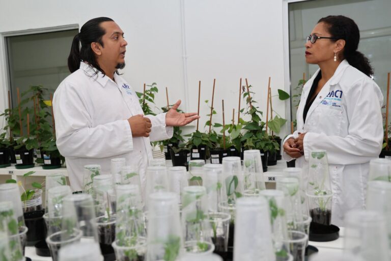 Science and Pacific Partnership are Shaping Fiji’s Climate Future